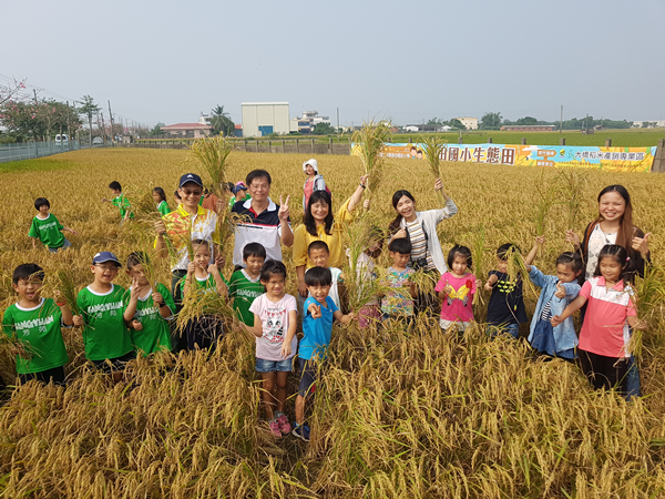 芳苑國小與香田國小歡慶收割 食農教育向稻子學謙虛道理1.png