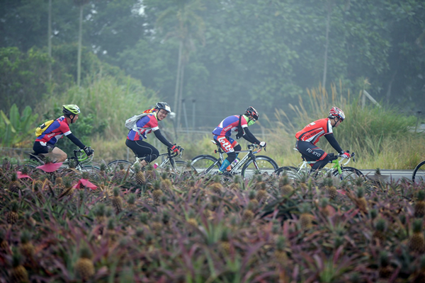 八卦傳騎Bike訪小鎮 彰化單車逍遙遊1.png