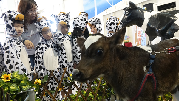 彰化乳牛節在芳苑鄉普天宮 22、23日來喝牛奶看表演玩闖關6.png