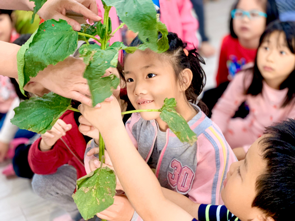 新建美走入校園推廣食農教育 廣興國小學童認識黑芝麻初體驗3.png