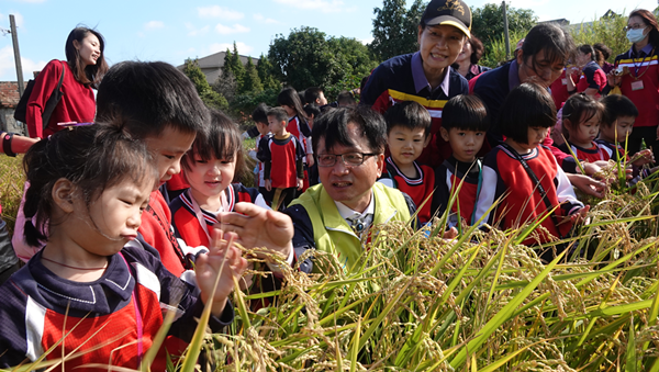 彰化市立幼兒園校外教學 下田體驗割稻農村趣3.png