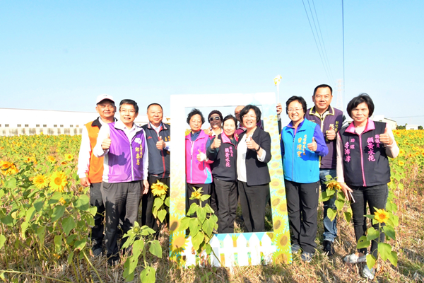 彰化花壇鄉崙雅花海田園風光 向陽花壇農田花海4.png