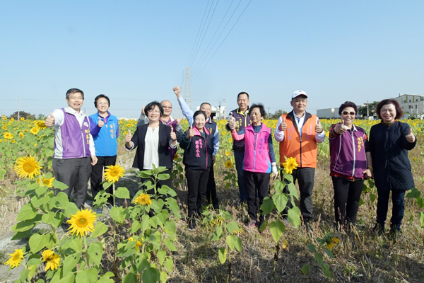 彰化花壇鄉崙雅花海田園風光 向陽花壇農田花海3.png