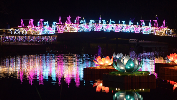 2020花在彰化搶先看 溪州公園賞花看燈看水舞7.png