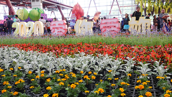 彰化走春景點「2020花在彰化」 感受彰化花鄉無限魅力1.png