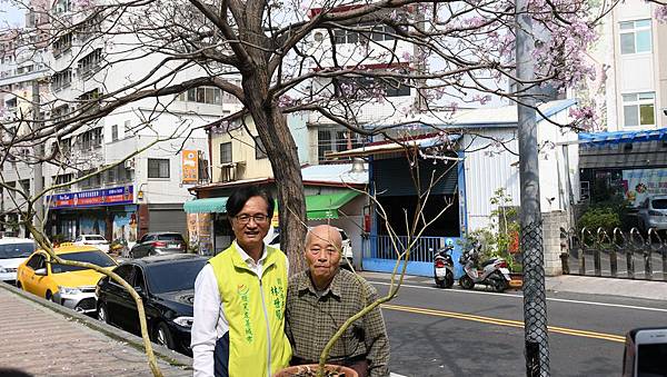 林世賢打造彰化美麗花都 種三千棵洋紅風鈴木拚觀光商機1.jpg