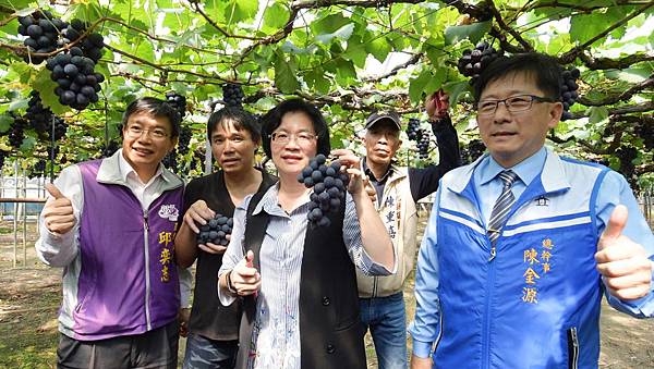彰化優鮮早春葡萄嘗鮮正是時候 王惠美行銷彰化農產品1.jpg 彰化優鮮早春葡萄嘗鮮正是時候 王惠美行銷彰化農產品1.jpg