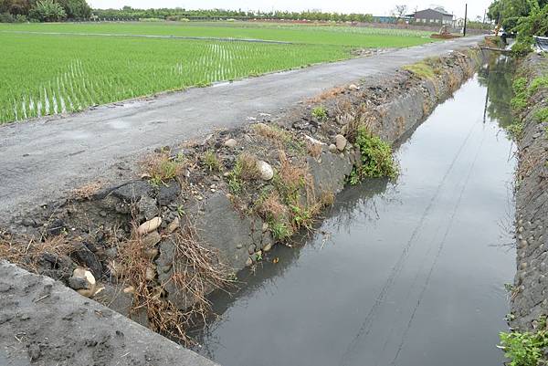 提前防汛整備 彰化縣長王惠美三度視察東溝排水整治4.jpg