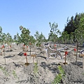 彰化縣2020做伙植樹在二林 植樹月一起種樹綠化環境8.jpg