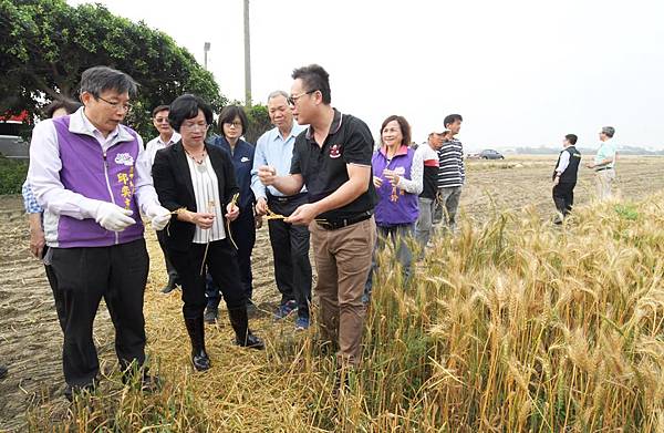 大城小麥田收割再製加工品 從產地到餐桌食美味挺農友4.jpg