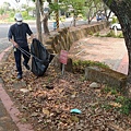 清水岩寺登山口罩步道奇景 陳慶福：勿造成生態浩劫4.jpg