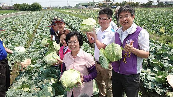 彰化縣府力挺埤頭高麗菜農 媒合企業認購致贈社福團體3.jpg