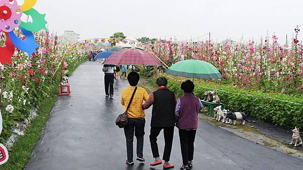 2020愛在員林蜀葵花季 百花盛開萬紫千紅2.jpg