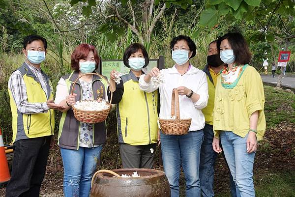 芬園鄉挑水古道賞桐花 走出戶外登山健身4.jpg