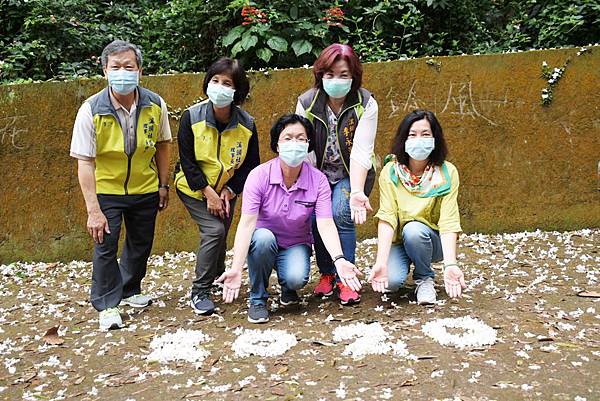 芬園鄉挑水古道賞桐花 走出戶外登山健身5.jpg