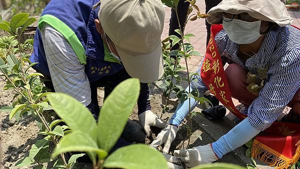 彰化家扶用愛植栽種福田 緬懷許宋綢阿嬤大愛5.jpg