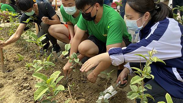 彰化家扶用愛植栽種福田 緬懷許宋綢阿嬤大愛6.jpg