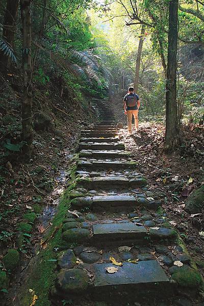 跟著寶寶漫步參山步道 健行筆記抓寶抽好禮3.jpg