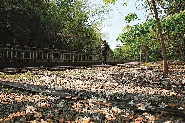 跟著寶寶漫步參山步道 健行筆記抓寶抽好禮1.jpg