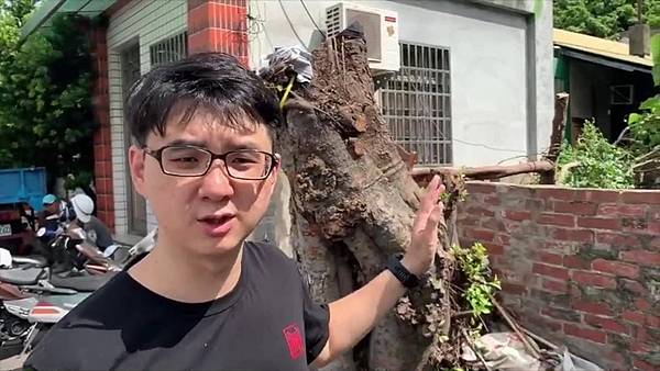 彰化台鐵宿舍村老樹修剪 吳韋達籲重視文資1.jpg 彰化台鐵宿舍村老樹修剪 吳韋達籲重視文資1.jpg