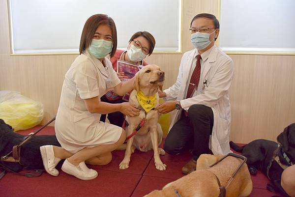 彰基兒童醫院醫療輔助犬 療癒病童身心靈2.jpg 彰基兒童醫院醫療輔助犬 療癒病童身心靈2.jpg