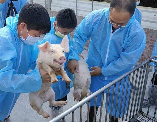 現代化養豬場「立富畜牧場」　環保永續獲鄰里肯定1.jpg