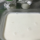 panna cotta