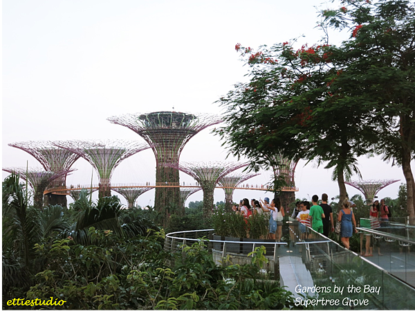 9_Gardens by the bay.png