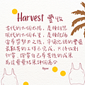 2024 0403 豐收 Harvest.png