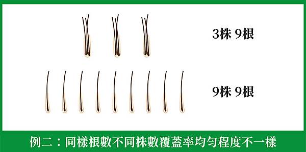 1090220無痕植髮圖示-05(1).jpg