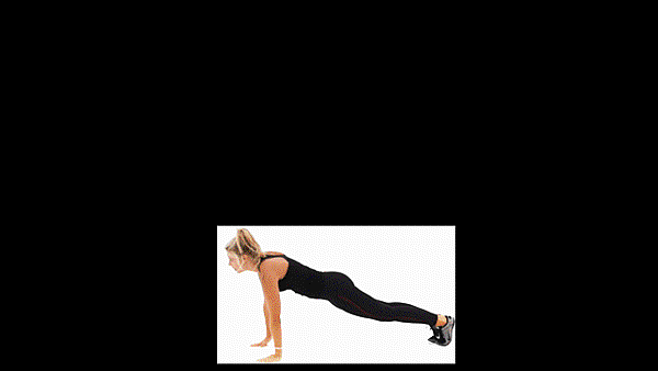 Burpee