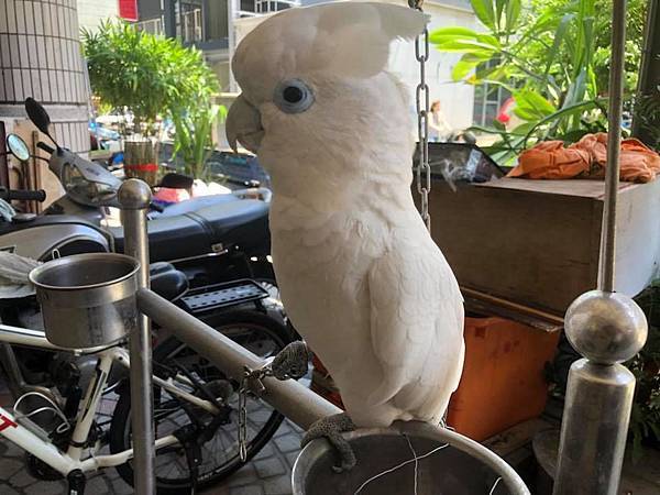 20180614.jpg 20180614.jpg