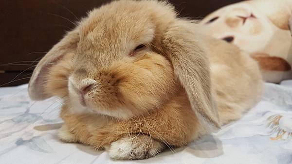 20180615.jpg 20180615.jpg