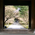 由三門望進南禪寺