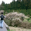 山邊道沿途