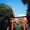 LC-A；京都下鴨神社