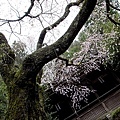 吉水神社