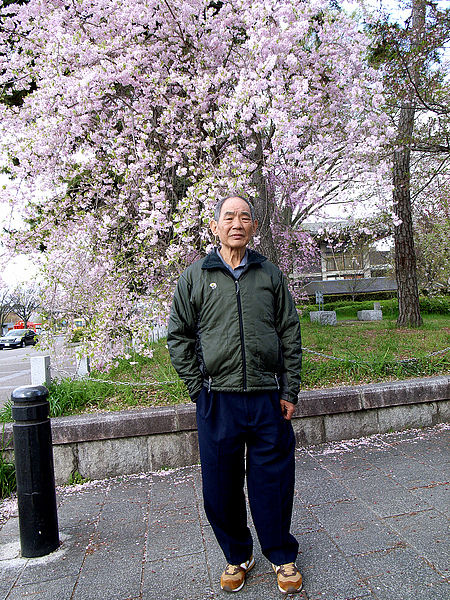 平安神宮前面的公園