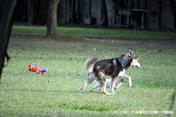 IMG_0612 IMG_0612