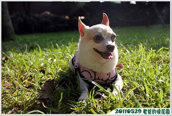 IMG_1543 IMG_1543