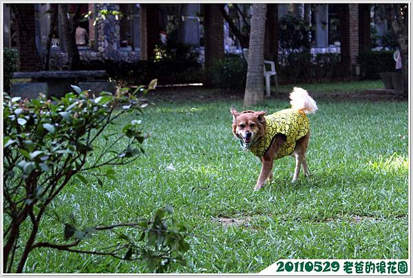 IMG_1546 IMG_1546