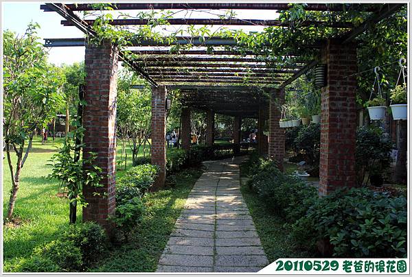 IMG_1464 IMG_1464