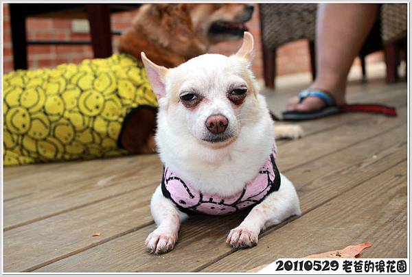 IMG_1482 IMG_1482