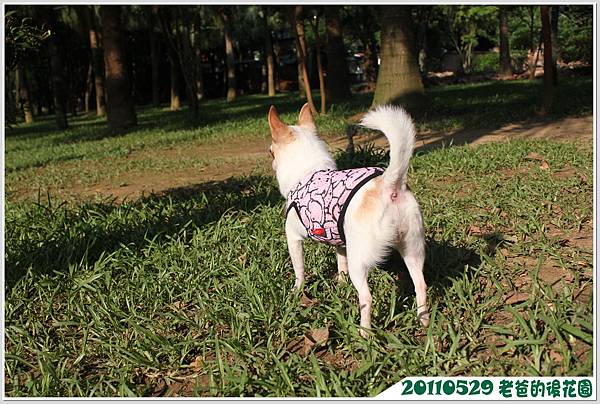 IMG_1540 IMG_1540
