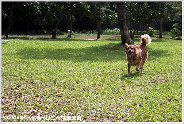 20110604大溪福份山露營