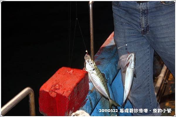 20110520基隆夜釣小管 20110520基隆夜釣小管