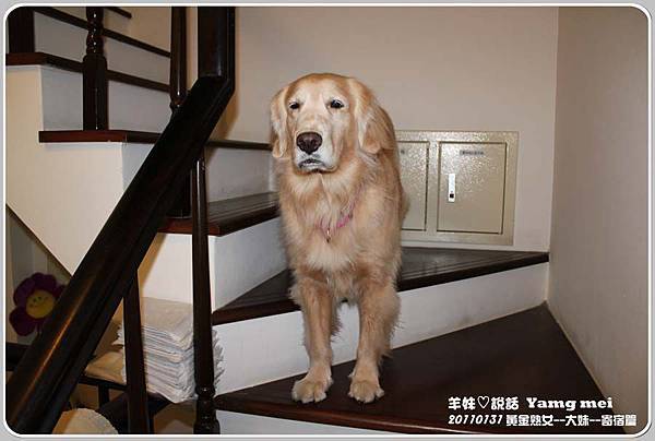20110131大妹來安親 20110131大妹來安親