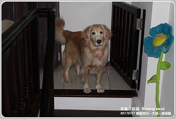 20110131大妹來安親 20110131大妹來安親