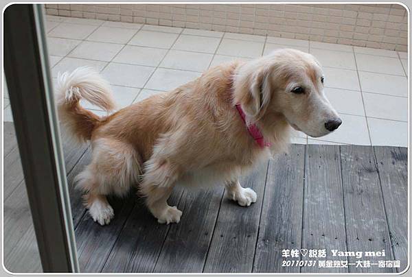20110131大妹來安親 20110131大妹來安親