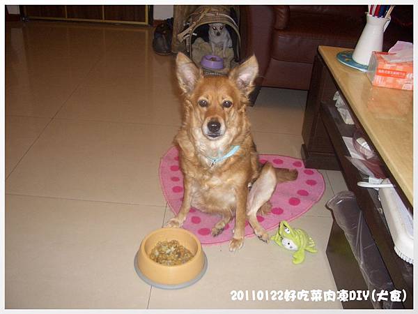 20110122好吃肉凍DIY 20110122好吃肉凍DIY